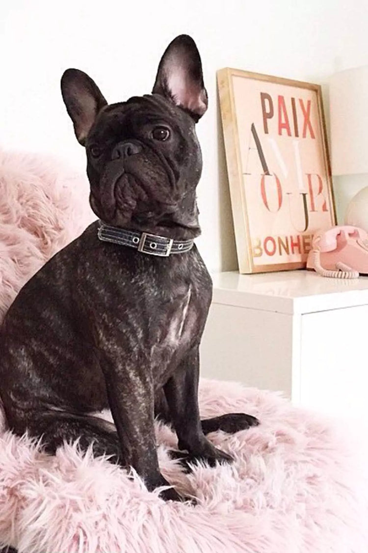 Peace Love Happiness