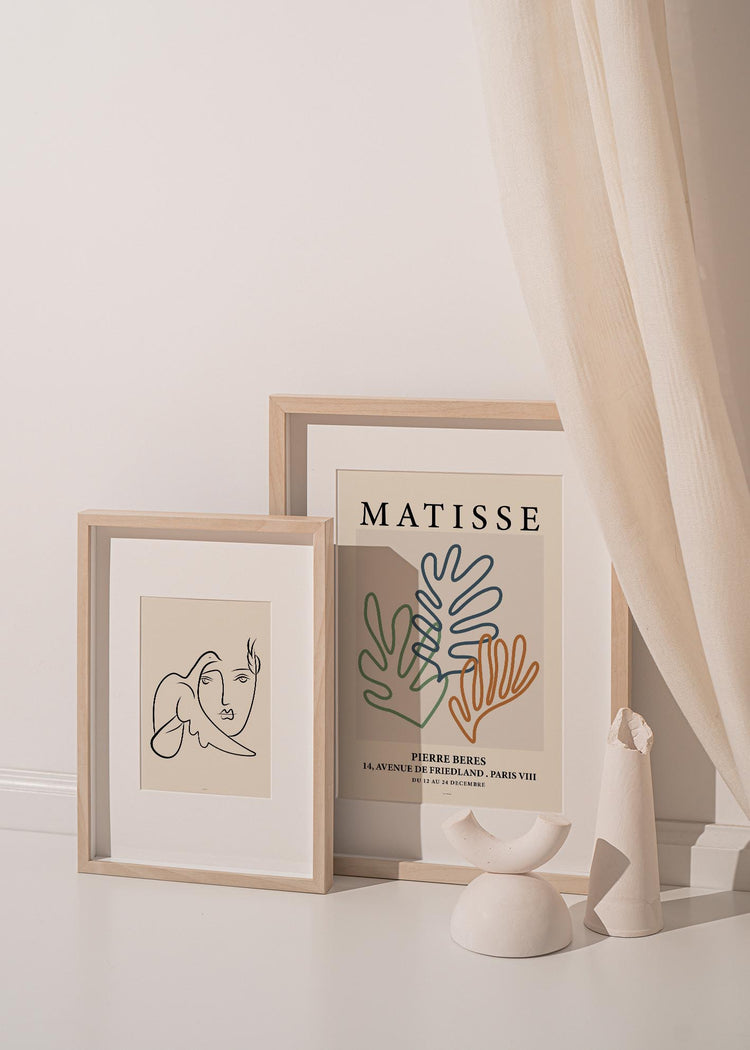 Matisse Outlines