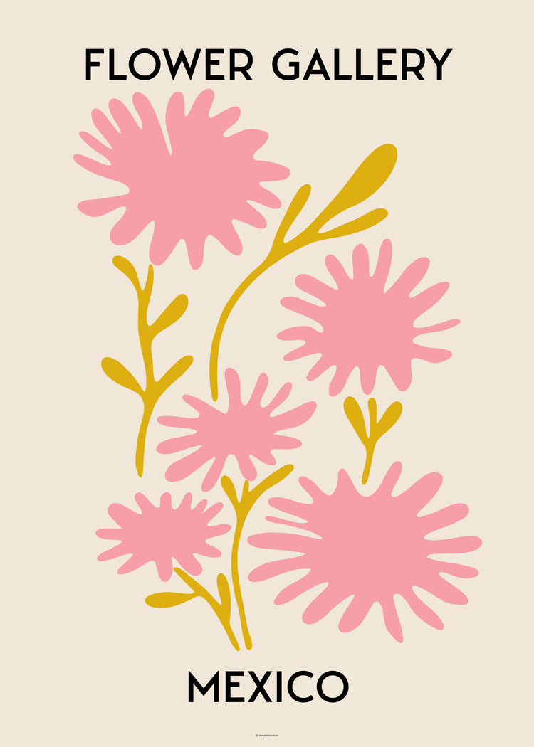 Flower Gallery Mexico