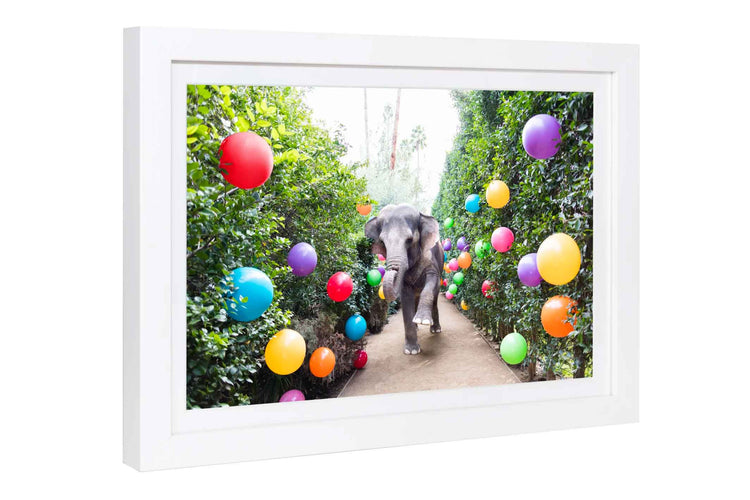 Party Time At The Parker