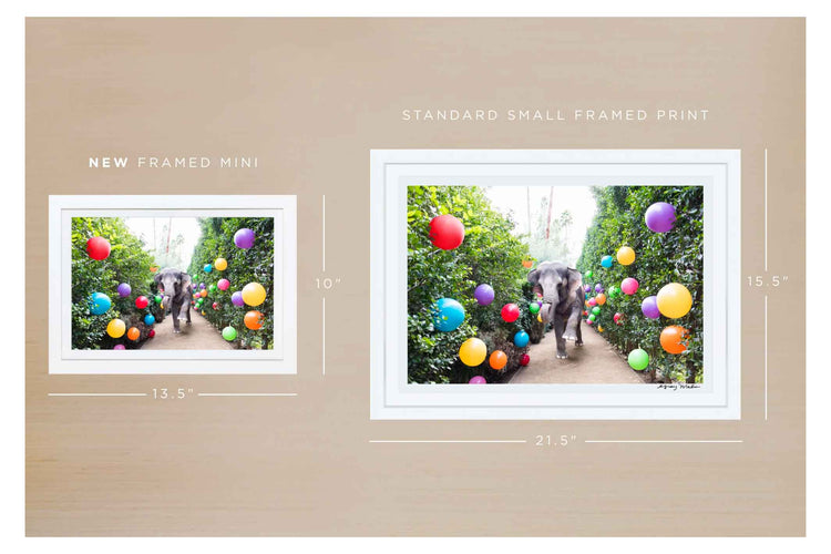 Party Time At The Parker