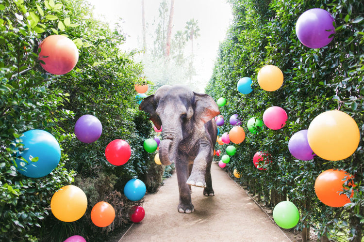 Party Time At The Parker