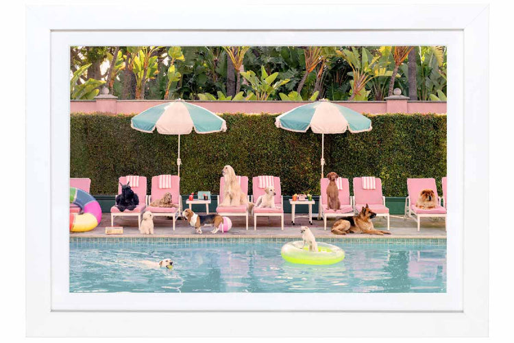 Pool Day, The Beverly Hills Hotel