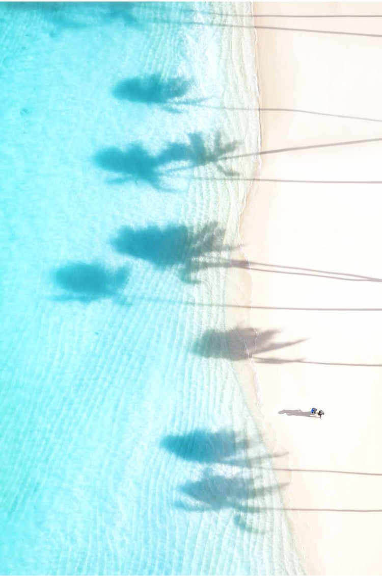 The Palm Shadows Vertical, Oahu