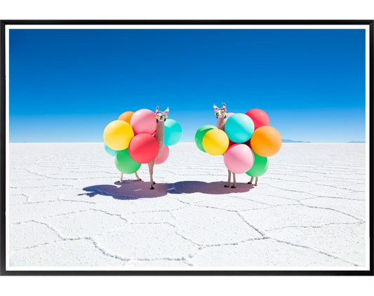 Two Llamas With Color Balloons