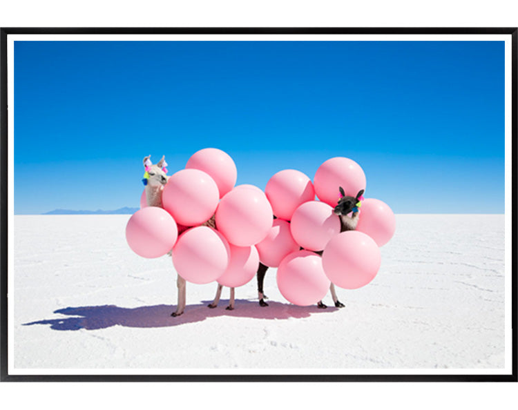 Two Llamas With Pink Balloons II