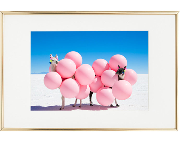 Two Llamas With Pink Balloons II