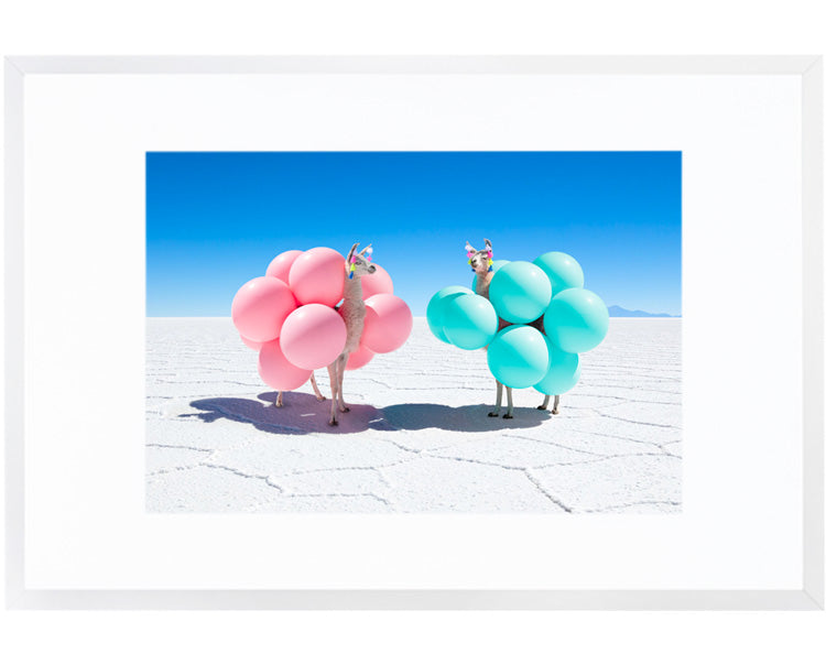Two Llamas With Pink And Teal Balloons