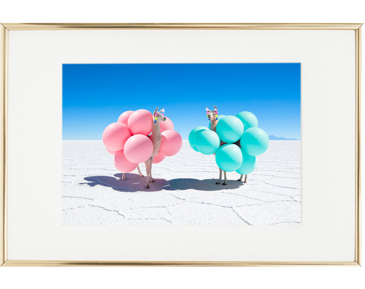 Two Llamas With Pink And Teal Balloons