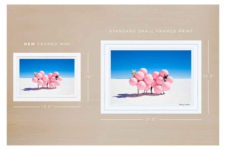 Two Llamas With Pink Balloons II