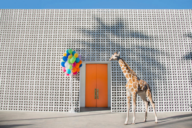 Welcome To The Parker II