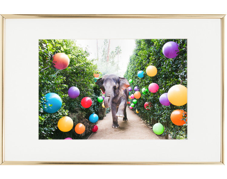 Party Time At The Parker