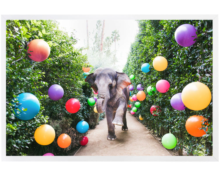 Party Time At The Parker