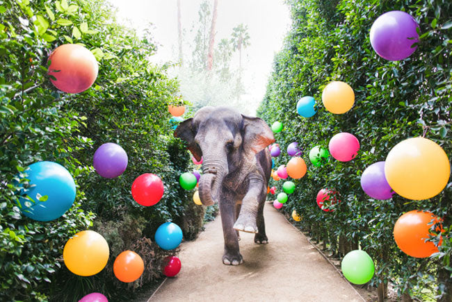 Party Time At The Parker