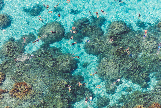 The Reef Bora Bora (Landscape)