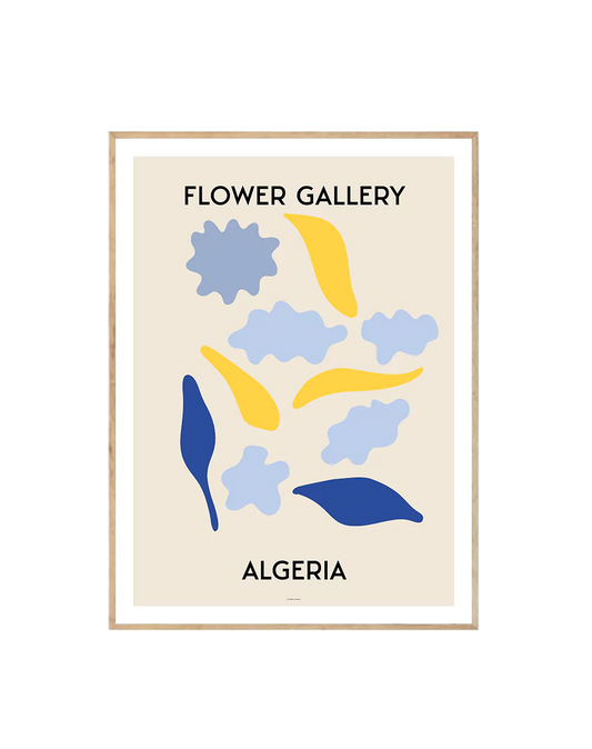 Flower Gallery Algeria