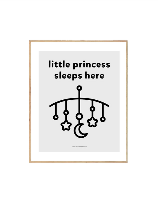 Princess Sleeps Here