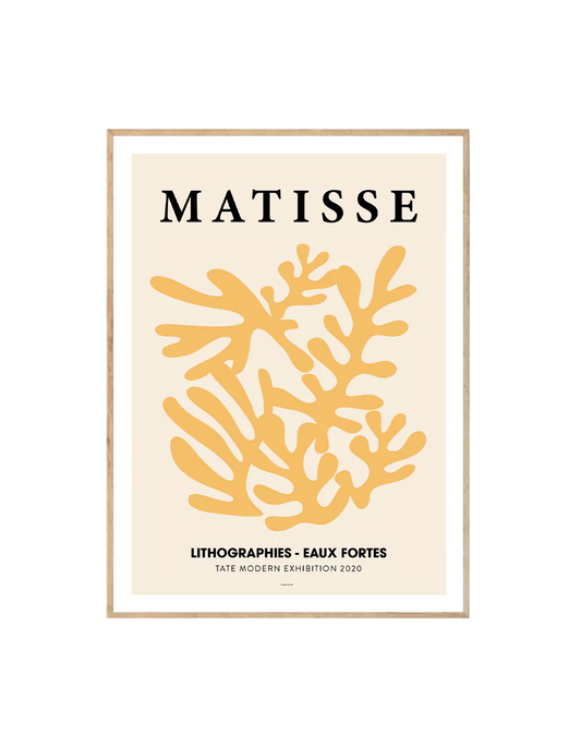 Matisse Lithographies