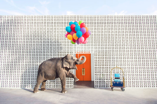 Always Welcome At The Parker