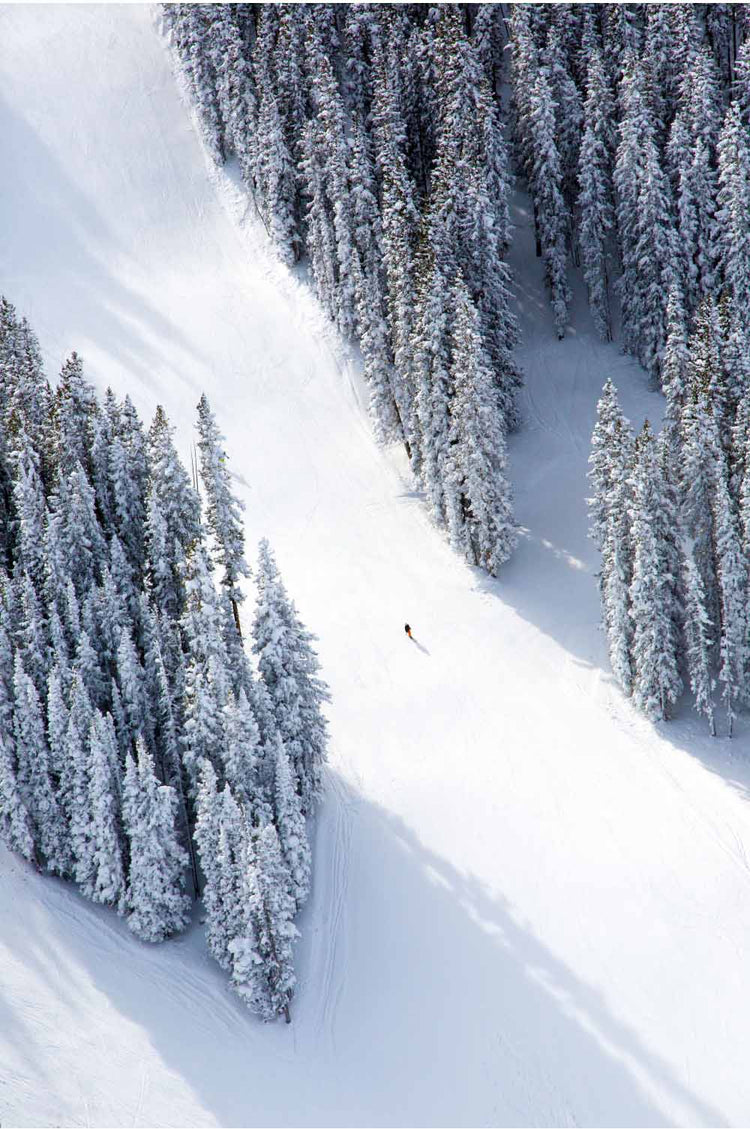 Aspen Lone Skier