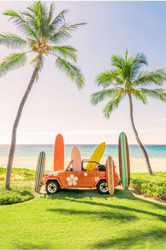 Beach Buggy Vertical, Mauna Kea