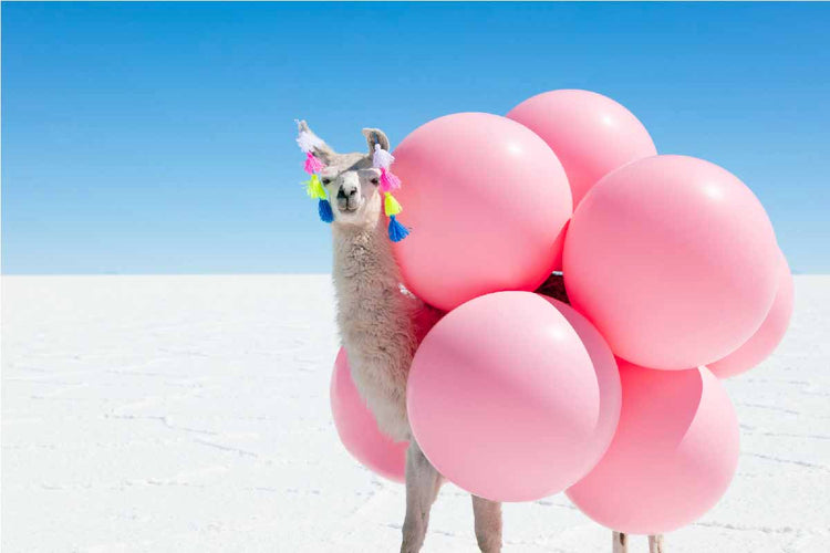 Llama with Pink Balloons and Tassels