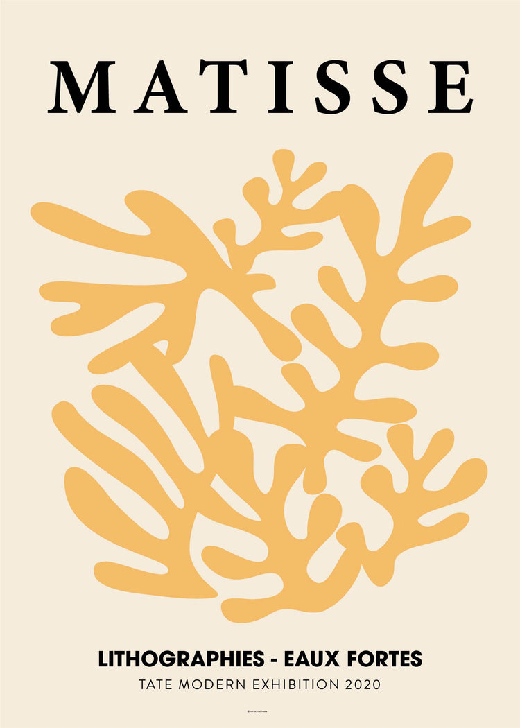 Matisse Set 1