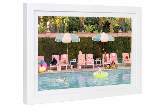 Pool Day, The Beverly Hills Hotel