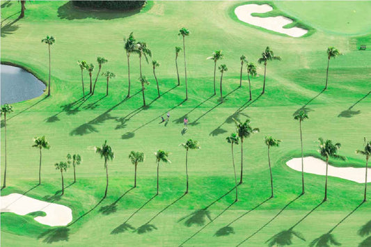 The Golfers, Palm Beach