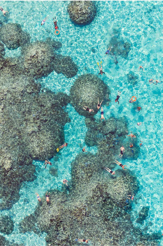 The Reef, Bora Bora (Vertical)