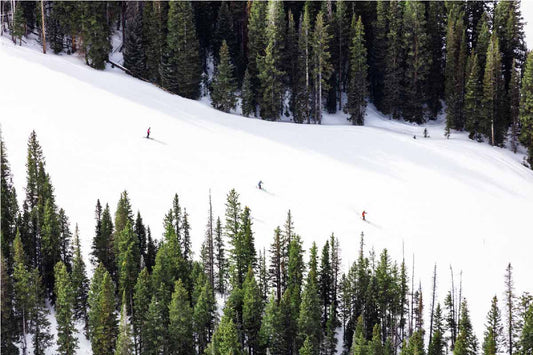 Three Skiers, Aspen