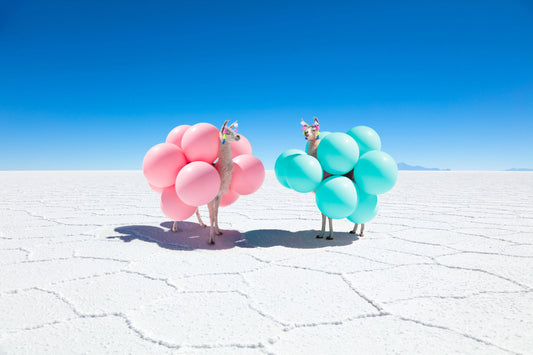 Two Llamas With Pink And Teal Balloons