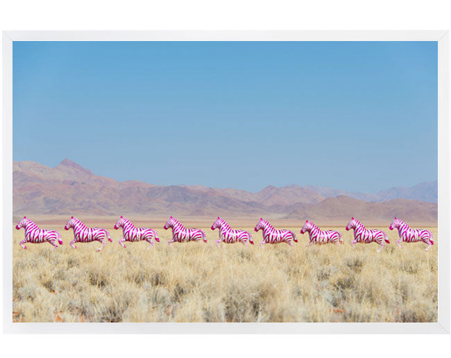 Hot Pink Zebras