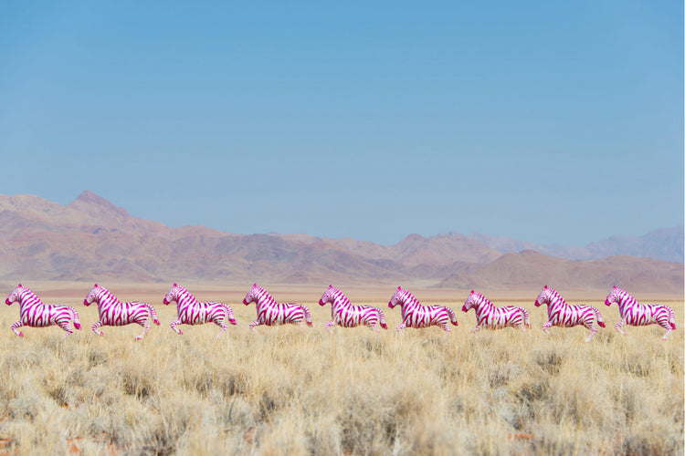 Hot Pink Zebras
