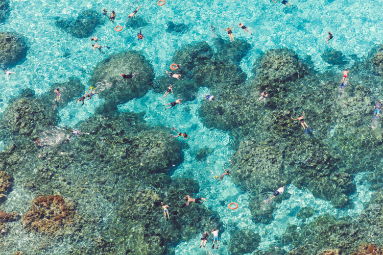 The Reef Bora Bora (Landscape)